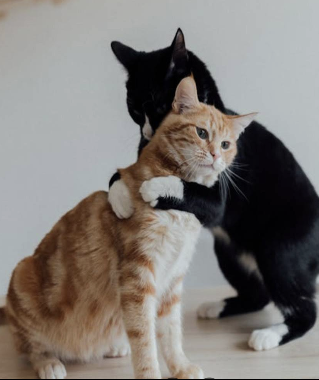 Resultados reales de la castración